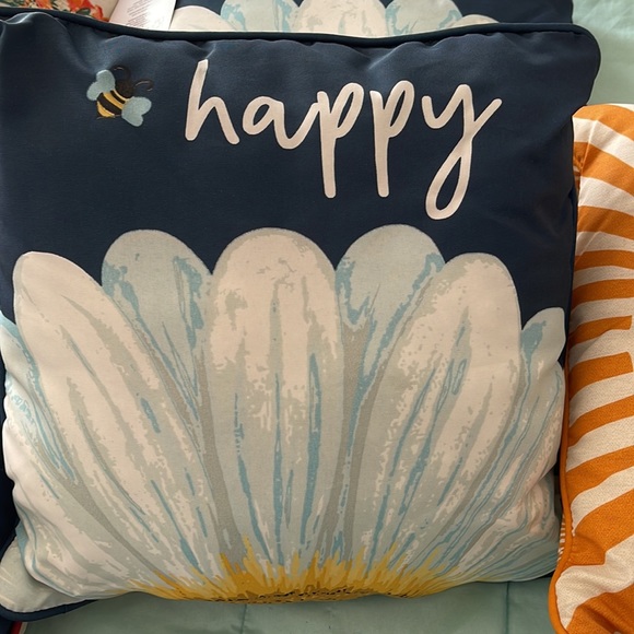 Brand new outdoor pillows - Picture 4 of 6